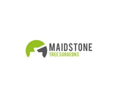 Certified Arborists for Maidstone Tree Care - Maidstone Tree Surgeons Ltd
