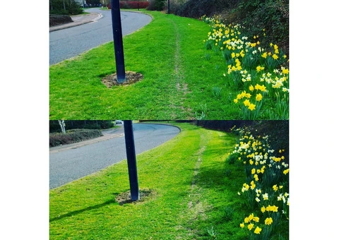 Trusted Ground Maintenance in Milton Keynes - 5/8