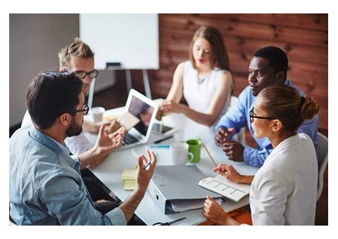 Professional Turkish to English Translation Services