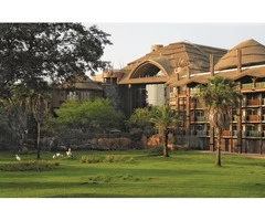 Thatched Roof Maintenance