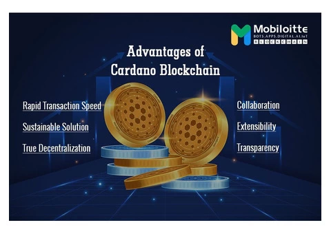 Mobiloitte: Your Trusted Partner for Cardano Blockchain Solutions