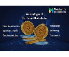 Mobiloitte: Your Trusted Partner for Cardano Blockchain Solutions