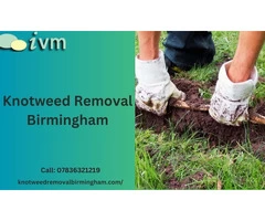 Say goodbye to knotweed troubles with Invasive Vegetation Management!