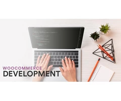 Meet the most talented team of WooCommerce developers here!