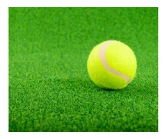 Golf (3000 GSM) Putting Green Artificial Grass - For Golf Pitches