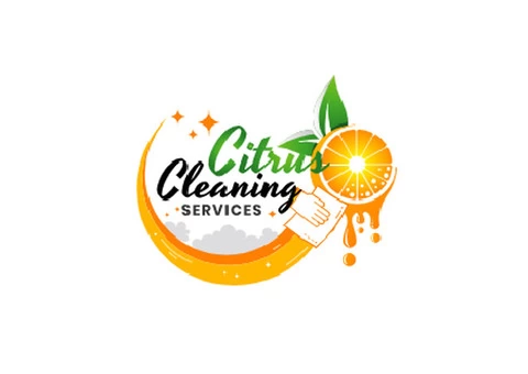 Professional Window Cleaning Services for Spotless Windows! - 2/2