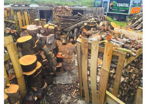 Tree Surgeon Services In Weymouth
