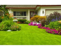 Absolute Gardens