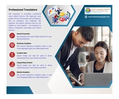 Feenix Language Solution