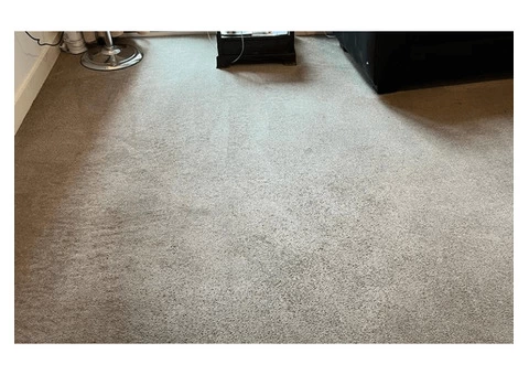 Quality Carpet Cleaning in London UK