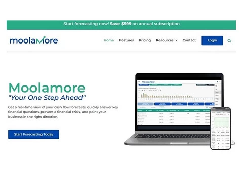 Future of Cash Flow Forecasting - Moolamore
