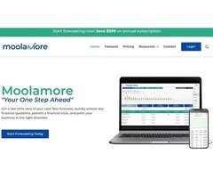 Future of Cash Flow Forecasting - Moolamore