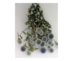 Decorate Your Home with Dried Flowers