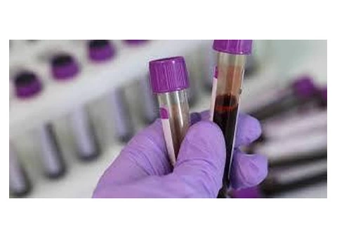 Anticipate Joy: Baby Gender Blood Test UK by Blue or Pink