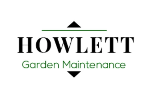 Get Professional Tree Surgery Specialist in Sheffield - 3/3
