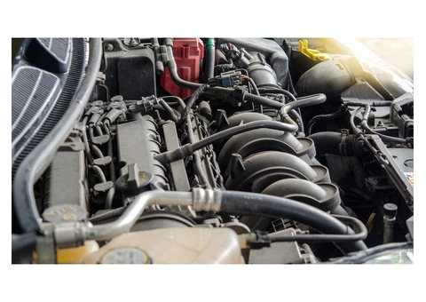 GET THE PERFECT SACHS PILOT BEARING FOR YOUR VEHICLE