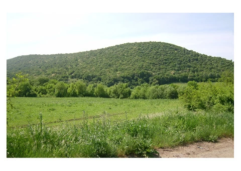 9500 Sqm Building Plot Near Sunny Beach Resort Bulgaria