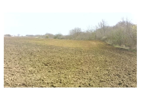 9500 Sqm Building Plot Near Sunny Beach Resort Bulgaria - 2/2