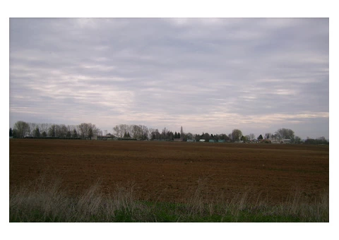 For Sale 14121 Sqm Land At The Beach Shkorpilovtsi Long Beach Resort Varna  Bulgaria. - 2/5