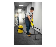 Avail Professional Carpet Cleaning to Eliminate Stains and Odors