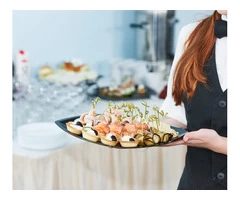 Elevate Your Catering with Professional Hospitality Services
