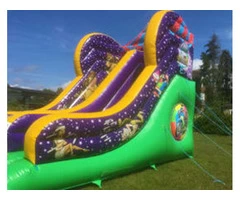 Deluxe Circus Themed Giant Slide