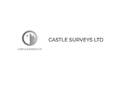 Castle Surveys Ltd - 1/4