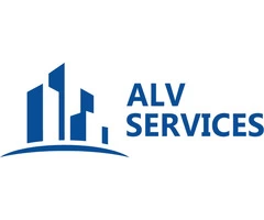 ALV SERVICES LTD