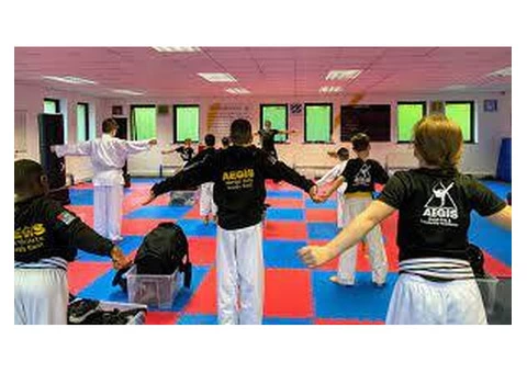AEGIS Martial Arts & Leadership Academy