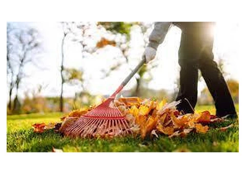 Revitalize Your Outdoor Space: Expert Yard Maintenance and Junk Haul/Clean Up Services