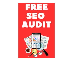 Let me SEO audit your website for FREE!