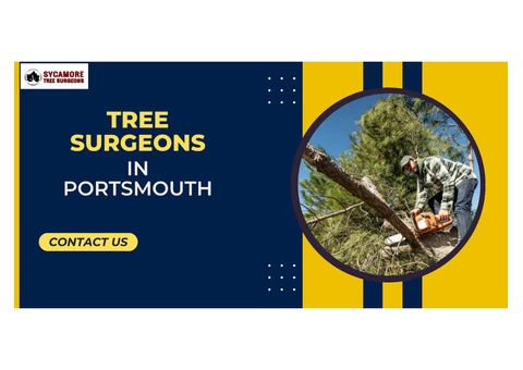 Trusted Local Tree Surgeons in Portsmouth
