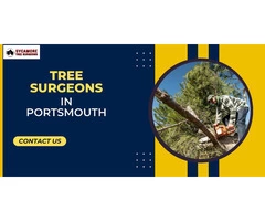 Trusted Local Tree Surgeons in Portsmouth