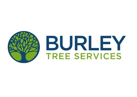 Stump Removal HAMPSHIRE | Expert Tree Stump Removal Services