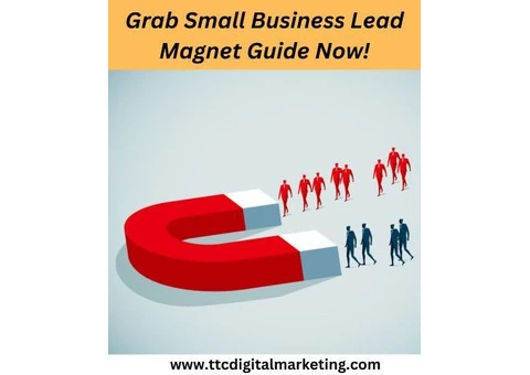 Grab Small Business Lead Magnet Guide Now!