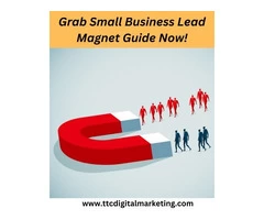 Grab Small Business Lead Magnet Guide Now!