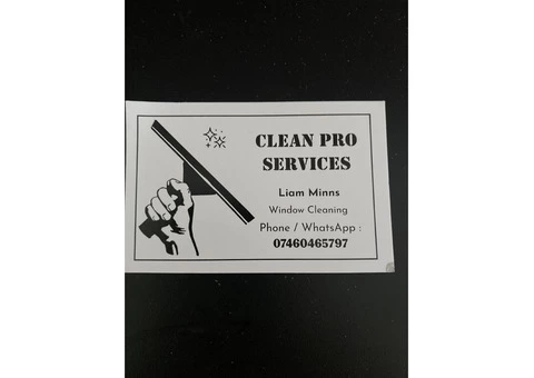 Window Cleaner