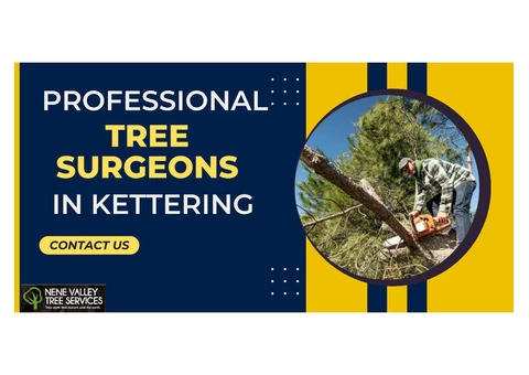 Professional Tree Surgeons in Kettering