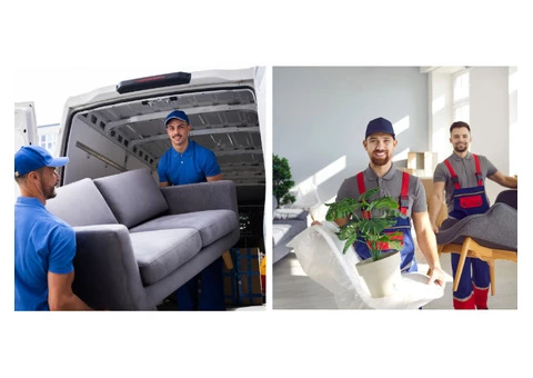 Eddico Moving House Removals: Trustworthy and Affordable