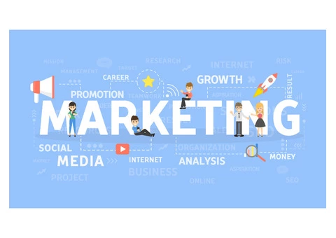Need To Consult Experienced Digital Marketing Experts?