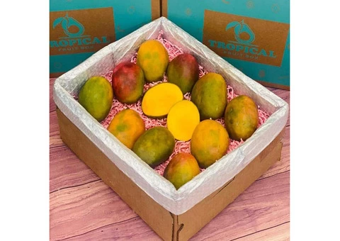 Fresh Tropical Fruits