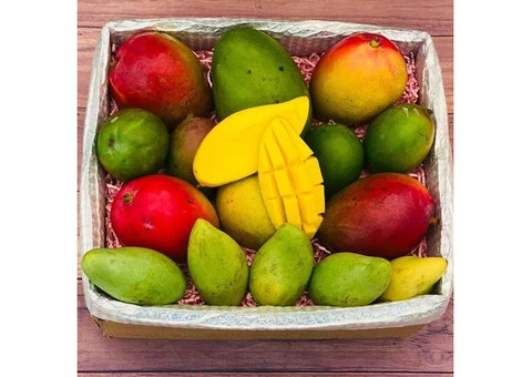 Fresh Tropical Fruits - 2/2