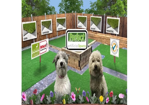 Artificial Lawn Installation Hertfordshire - 6/6