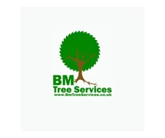 ???? BM Tree Services - Glasgow's Premier Tree Surgery Experts! ????