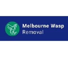 Eliminate Wasps Quickly And Safely With Our Melbourne Wasp Removal Services