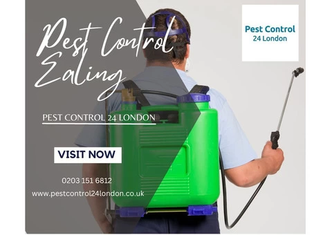 Ealing's Reliable Pest Control Partner is Pest Control 24 London