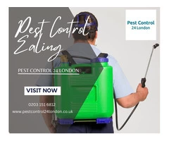 Ealing's Reliable Pest Control Partner is Pest Control 24 London