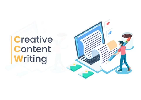 Professional Content Writer