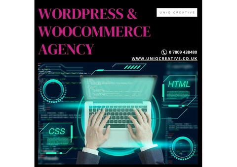 Wordpress and Woocommerce Agency Near Me Somerset