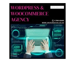 Wordpress and Woocommerce Agency Near Me Somerset
